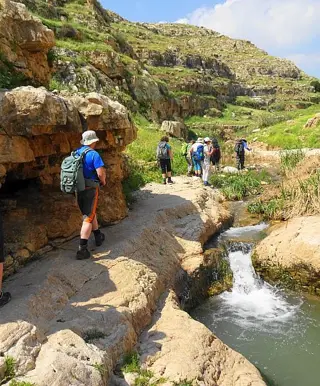 Wandere durch den grünen Wadi Qelt